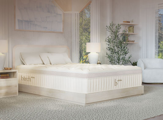 Shop the Birch Elite Natural Mattress