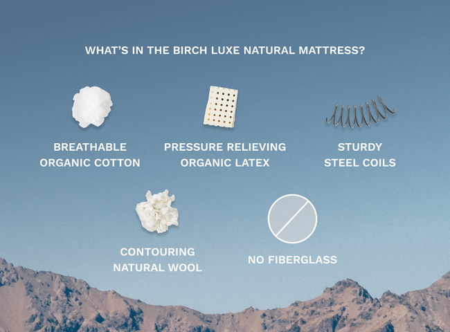 A rendered image showcasing the materials in the Birch Natural Mattress for The Mattress Shop, showcasing product image Birch Luxe Natural Mattress on the page: Best Luxury Mattresses page.