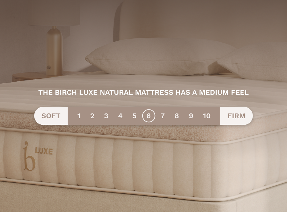 A rendered image featuring the Birch Luxe Natural Mattress showcasing that it is a 6 out of 10 on the firmness scale