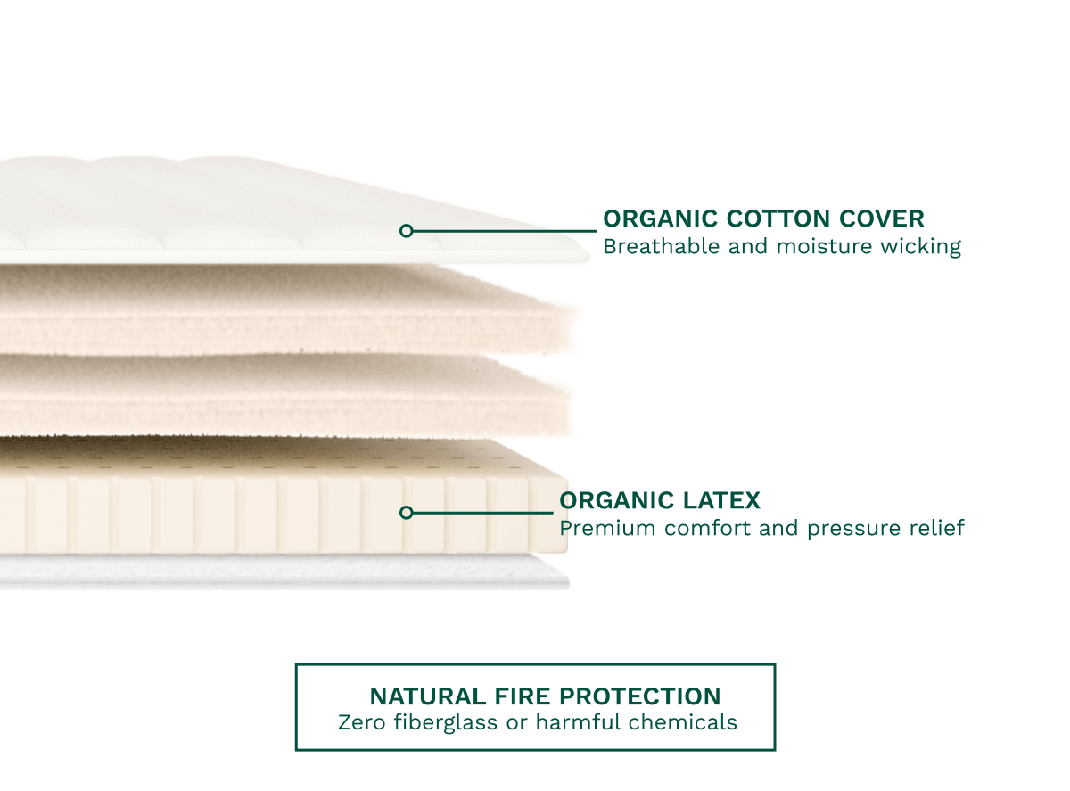 Cross-section diagram of the Birch Plush Organic Mattress Topper layers with an organic cotton cover, organic latex, and natural fire protection.