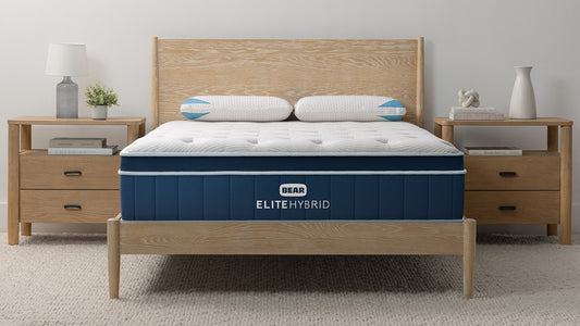 Bear Elite Hybrid mattress styled in modern bedroom with dark wood frame, nightstands, and rug for The Mattress Shop, showcasing product image for Bear Elite Hybrid on the product page.
