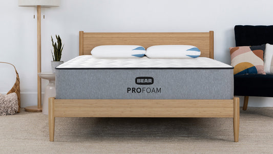 Bear Pro Foam mattress on bamboo bed frame in modern bedroom with floor lamp and navy accent chair for The Mattress Shop, showcasing product image for Bear Pro Foam on the page: About Bear page.
