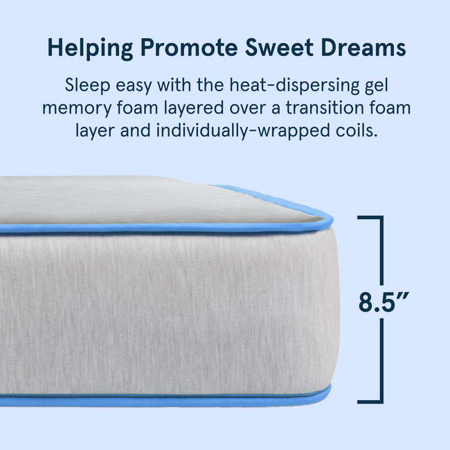 Bear Cub 8.5-inch mattress for kids for The Mattress Shop, showcasing product image Bear Cub - Kids Mattress on the page: Best Mattresses for Kids page.