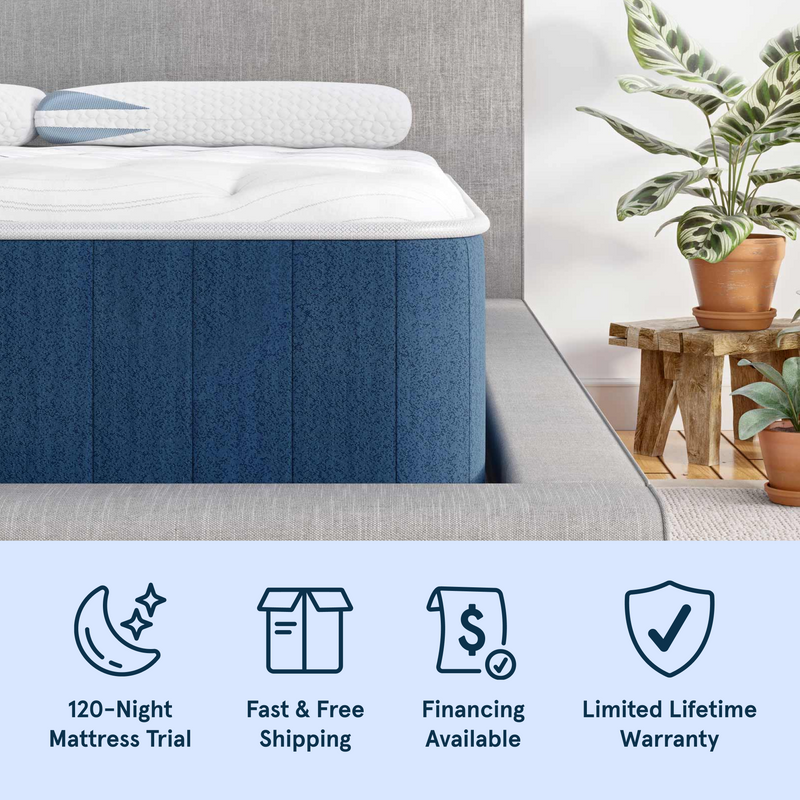 Bear Elite Hybrid Mattress with 120-night trial, fast & free shipping, financing available, and a limited lifetime warranty.