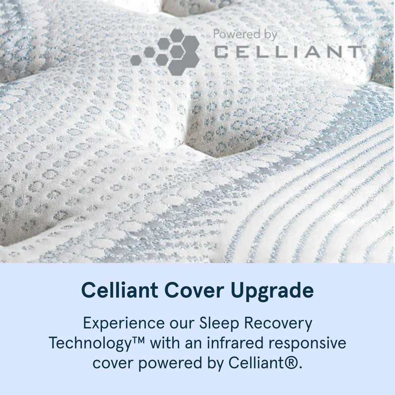 Bear Elite Hybrid Mattress with Celliant cover upgrade