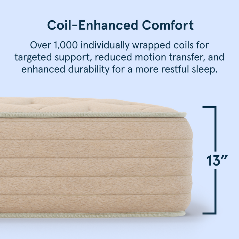 Bear Natural latex hybrid 13-inch mattress