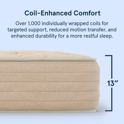 Bear Natural latex hybrid 13-inch mattress