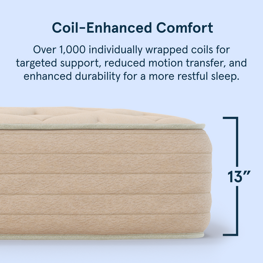 Bear Natural latex hybrid 13-inch mattress