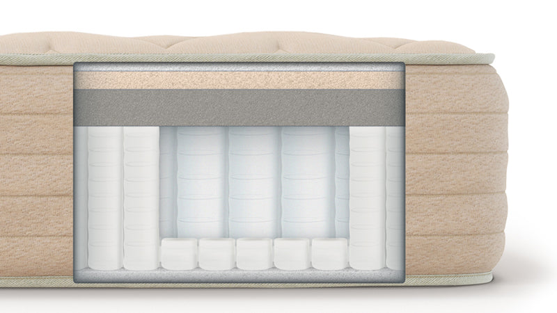 Bear Natural Features for The Mattress Shop, showcasing product mattress hotspot layer image for Bear Natural Features on the product page.