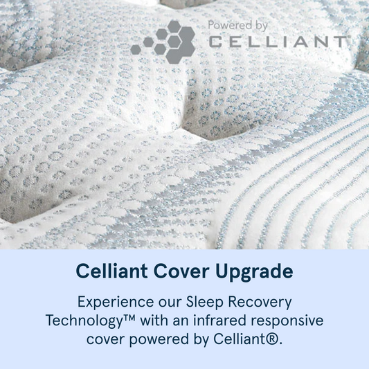 Bear Pro Hybrid mattress with Celliant cover upgrade