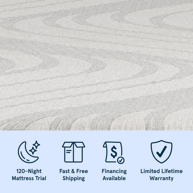 Bear Trundle Mattress with 120-night trial, fast & free shipping, financing available, and a limited lifetime warranty for The Mattress Shop, showcasing product thumbnail image for Bear Trundle Mattress on the product page.
