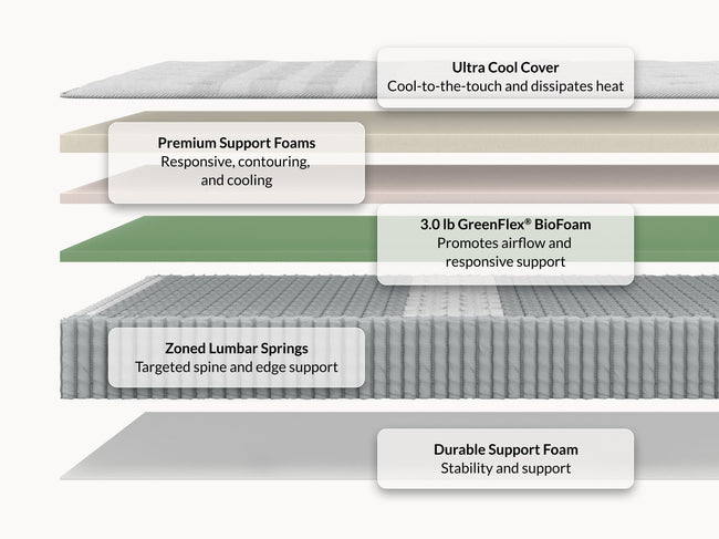 Leesa Studio Chill mattress cross-section showing ultra cool cover, premium foams, biofoam, and lumbar springs. for The Mattress Shop, showcasing product thumbnail image for Leesa Studio Chill Hybrid Mattress on the product page.