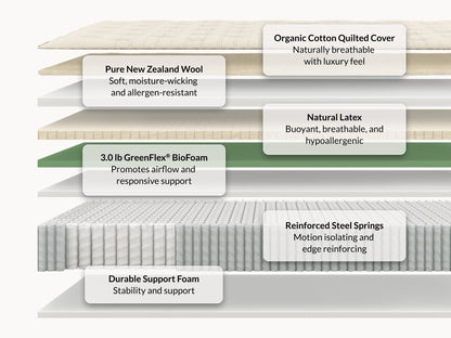 Leesa + West Elm Natural Hybrid mattress cross-section showing organic cotton, wool, latex, and steel springs.