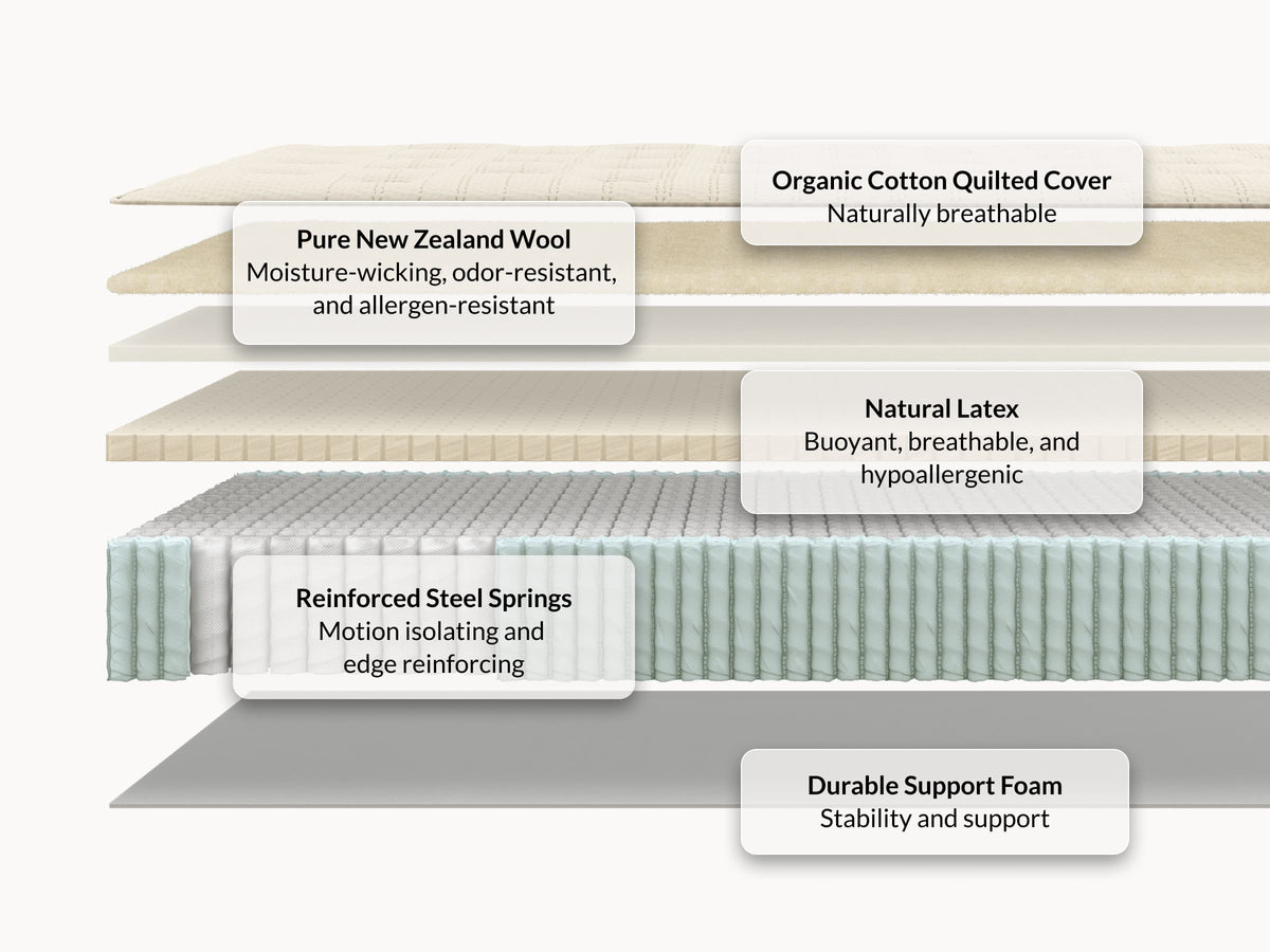 Leesa Natural Essential mattress layers: organic cotton cover, New Zealand wool, natural latex, and coil springs for The Mattress Shop, showcasing product image for Leesa Natural Essential Hybrid Mattress on the product page.