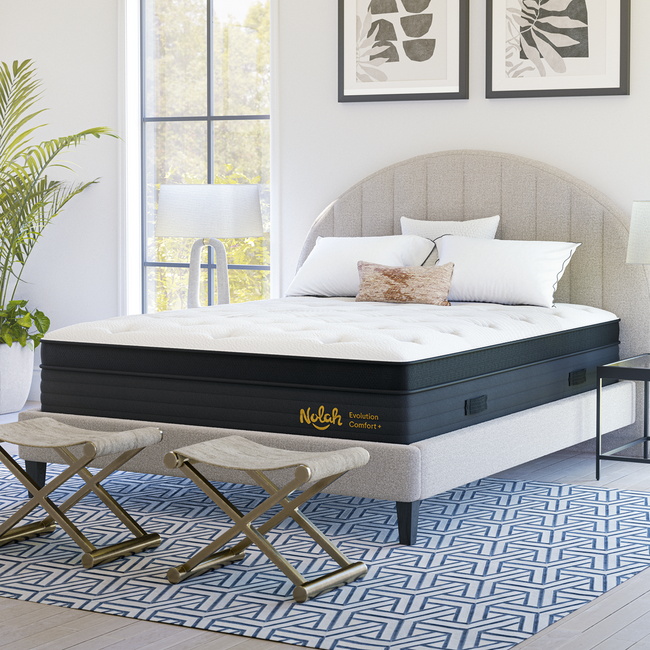 Nolah Evolution Comfort+ hybrid mattress for plus-size sleepers for The Mattress Shop, showcasing product thumbnail image for Nolah Evolution Comfort+ on the product page.